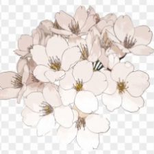 Profile picture of KH