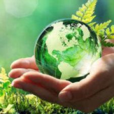 Profile picture of Nina