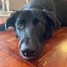 Profile picture of Nomi Elboim