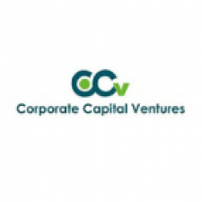 Profile picture of ccvindia