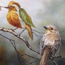 Profile picture of Thawra