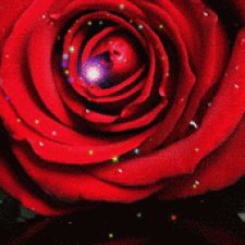 Profile picture of بديعة مصالحة